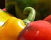 http://www.sagradelpeperone.it