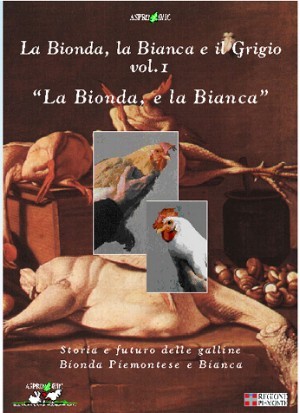 Copertina vol. 2