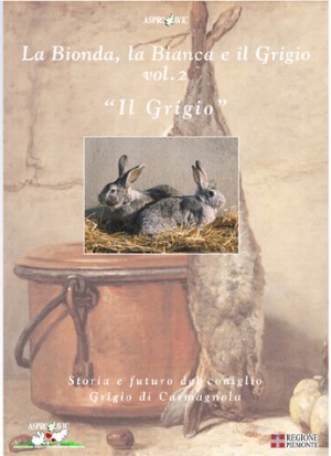 Copertina vol. 3